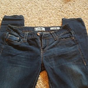 Day Trip Virgo Skinny Jeans